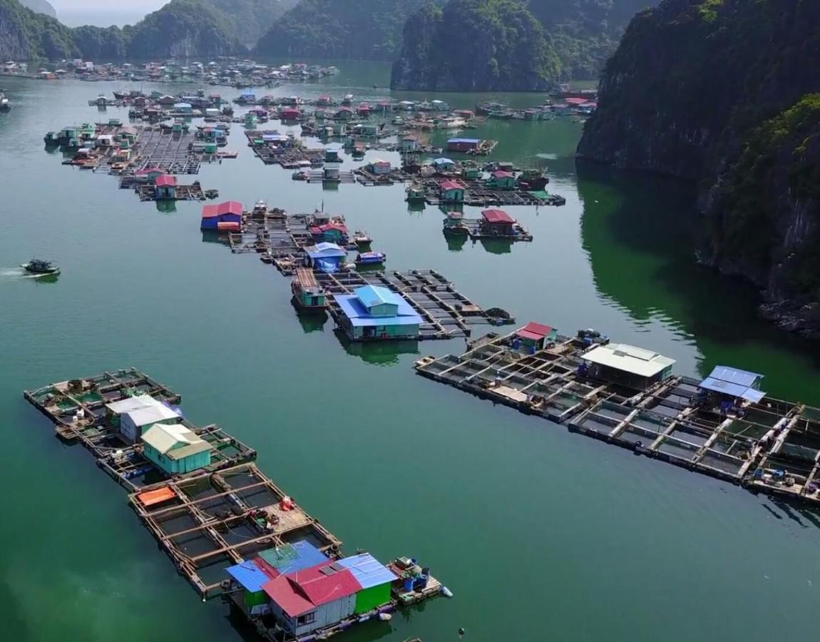 Cat Ba Thailand Hotel Dong Khe Sau Exteriör bild